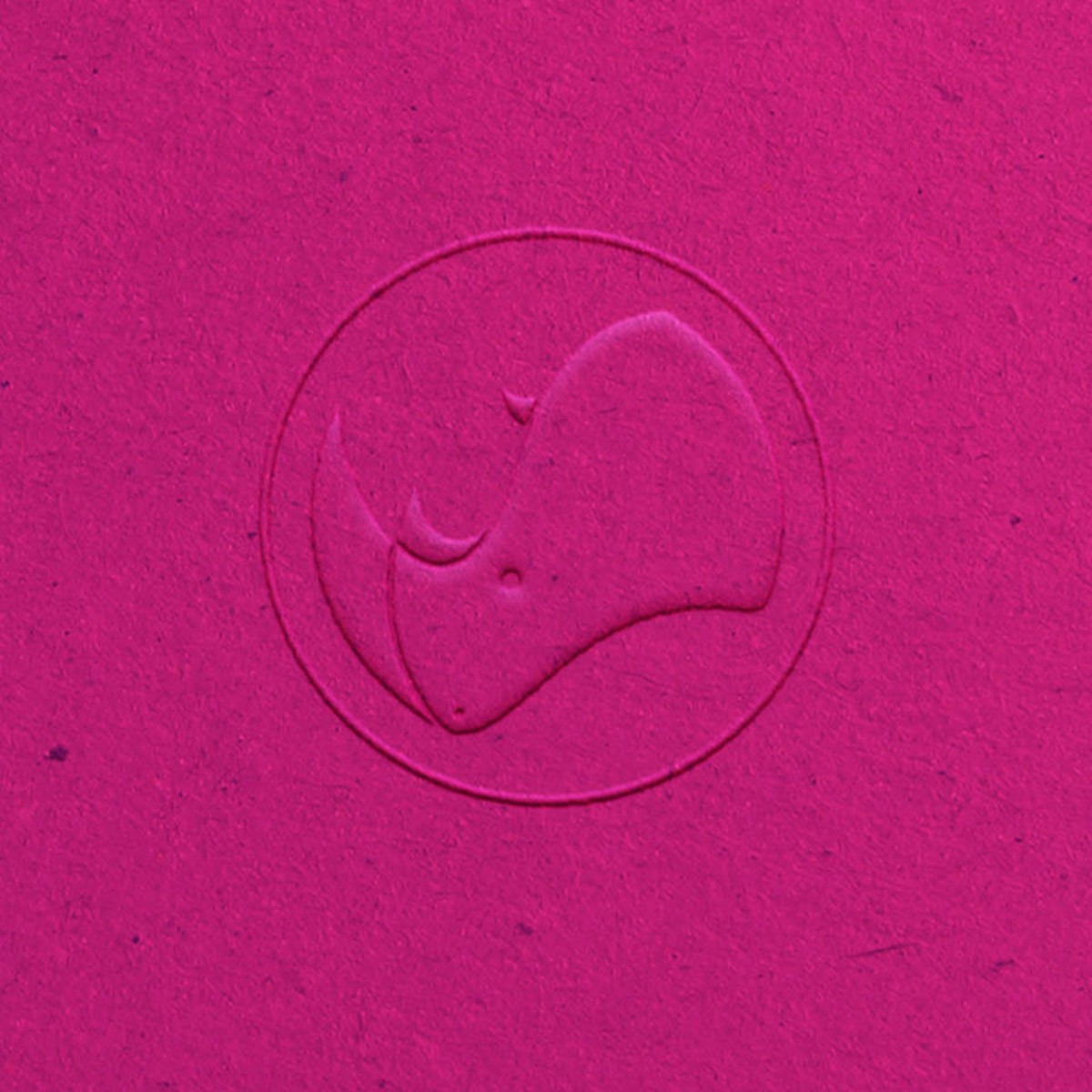 Rhino Recovery Fund. Logo embossed on uncoated paper stock. Brand identity designed by Superfried.