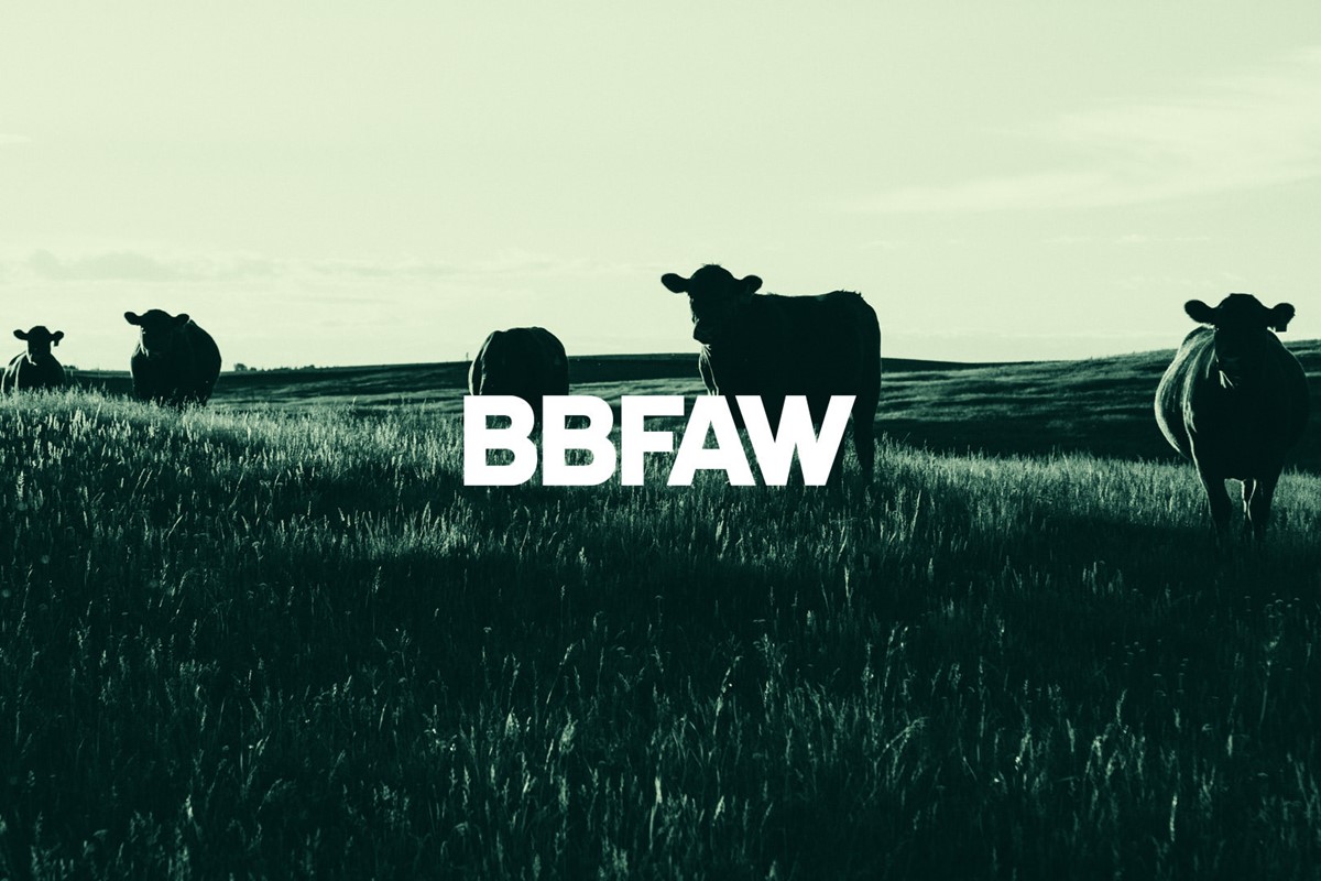 BBFAW. Logotype for a rebrand by design agency Superfried, Manchester.