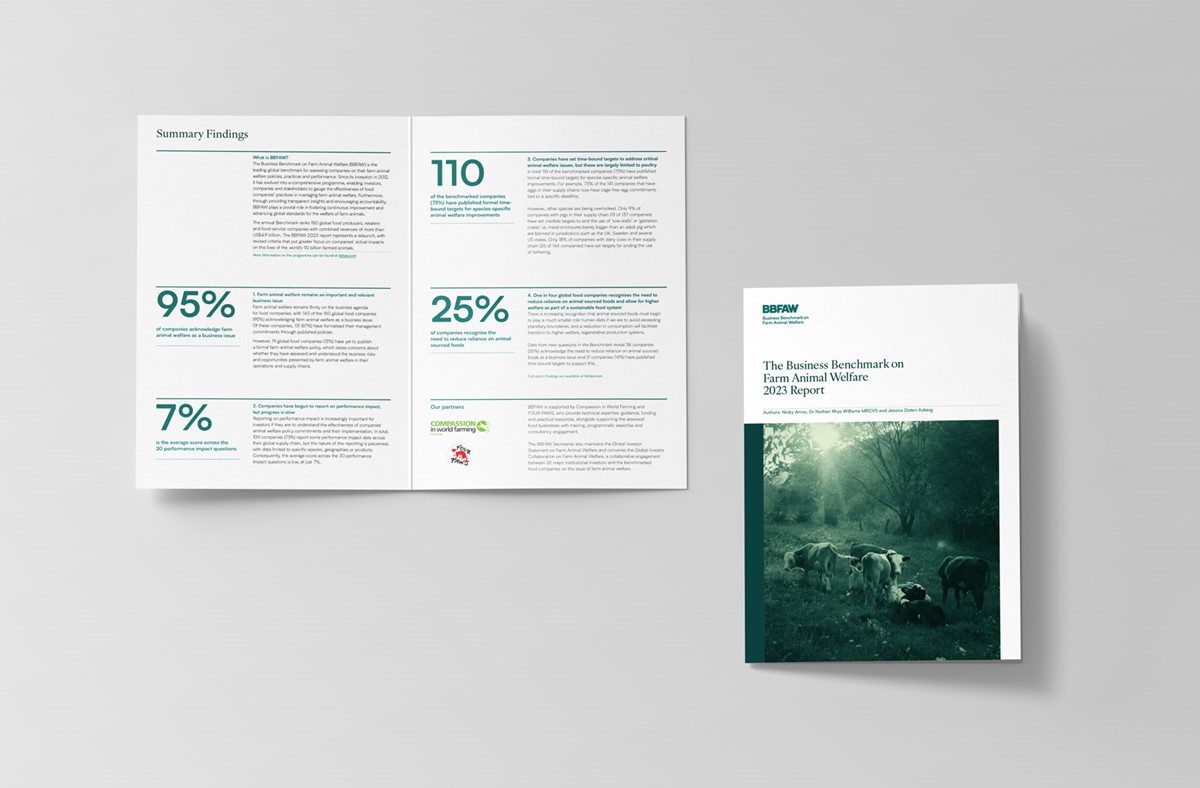 BBFAW. Report Summary Handout by design agency Superfried, Manchester.