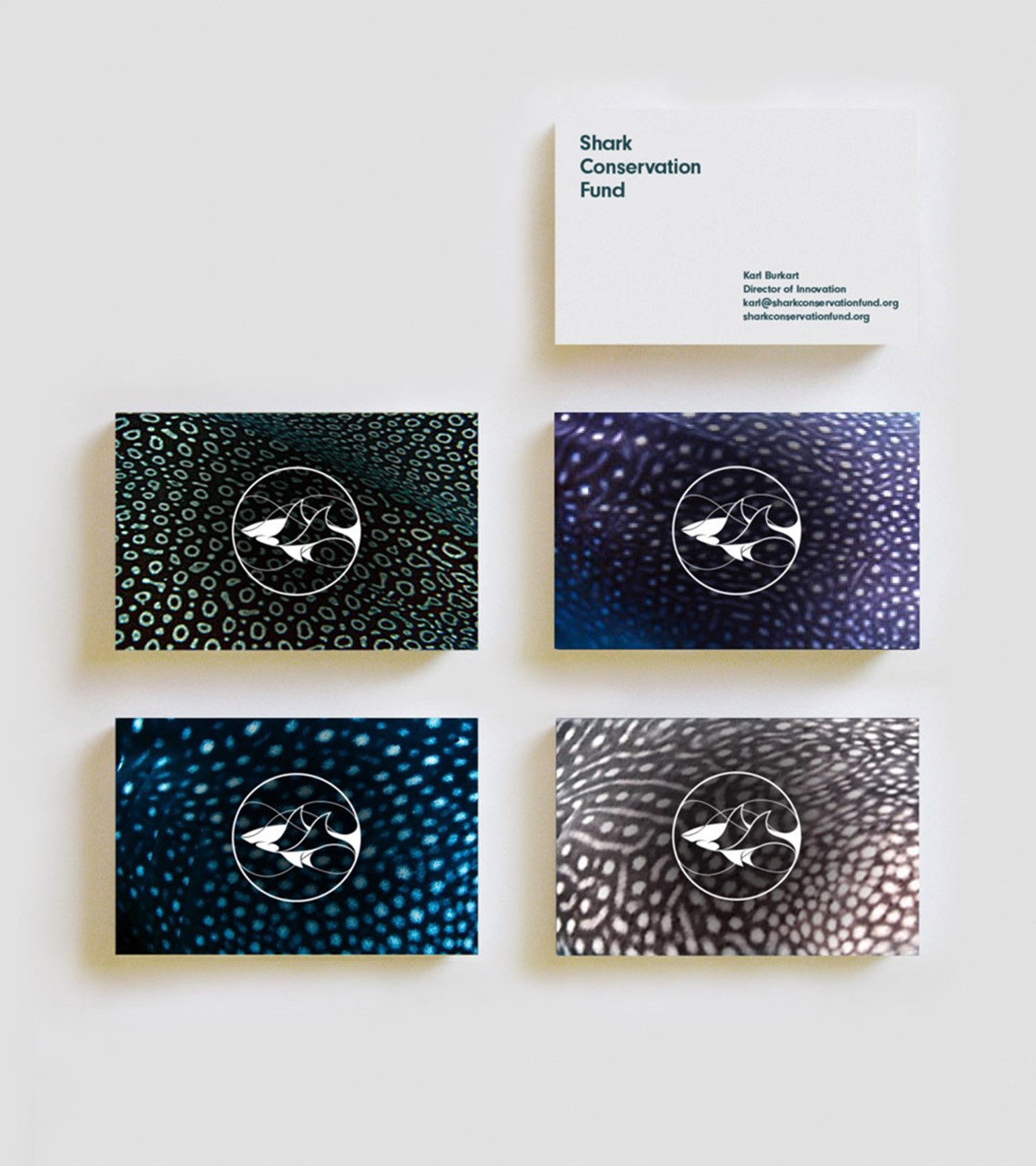 Shark Conservation Fund business cards. Client: DiCaprio Foundation.