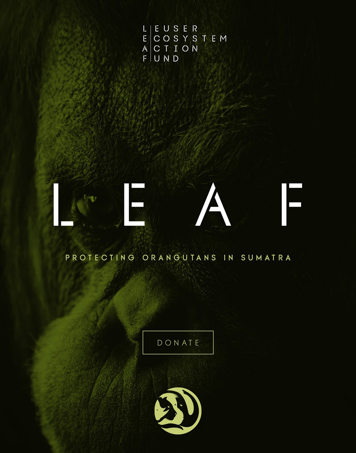 Leuser Ecosystem Action Fund [LEAF] orangutan donation request advert. Client: DiCaprio foundation + Sumatran Orangutan Society [SOS].