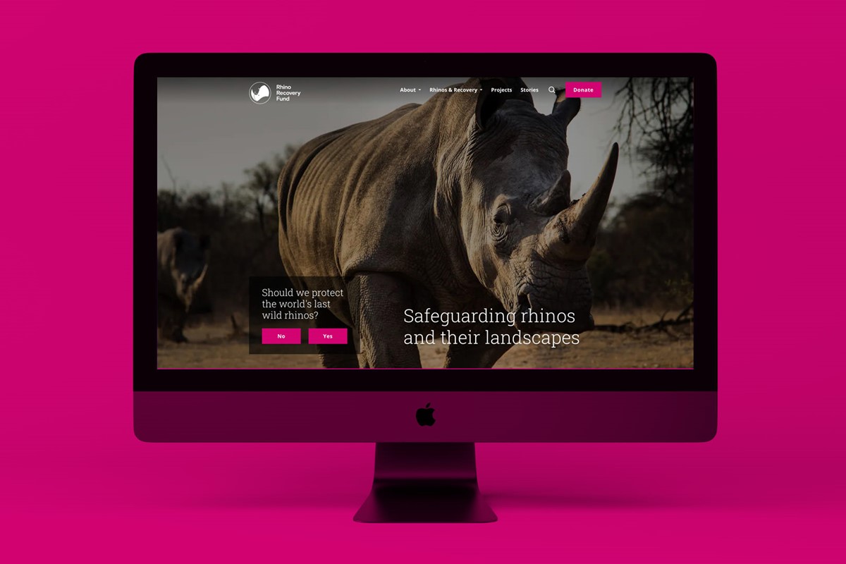 Rhino Recovery Fund. Website homepage. Brand identity designed by Superfried.