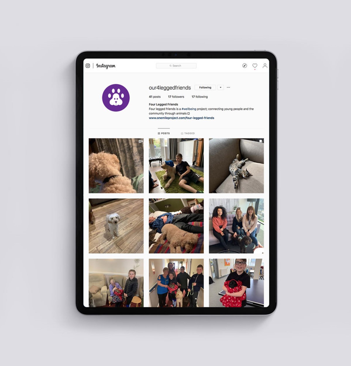 4 Legged Friends instagram page on an iPad. Identity design by Superfried.
