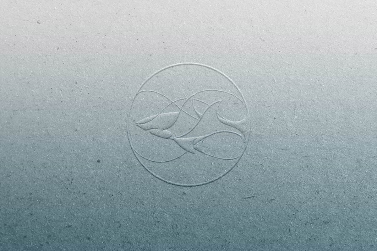 Shark Conservation Fund logo embossed on uncoated paper. Client: DiCaprio Foundation.