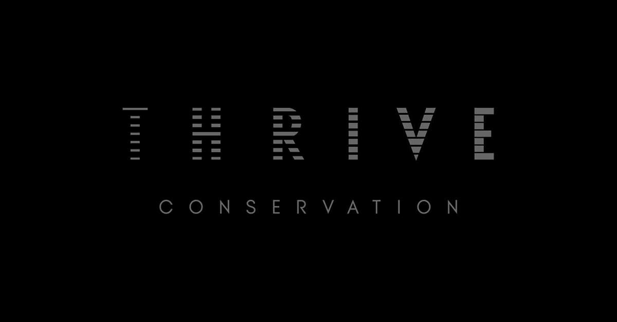 Thrive Conservation logo lock-up. Brand identity design by Superfried.