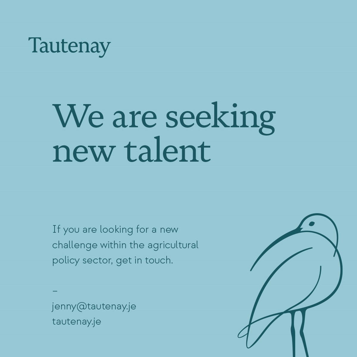Tautenay. Pale blue social media ad by design studio Superfried. Manchester.