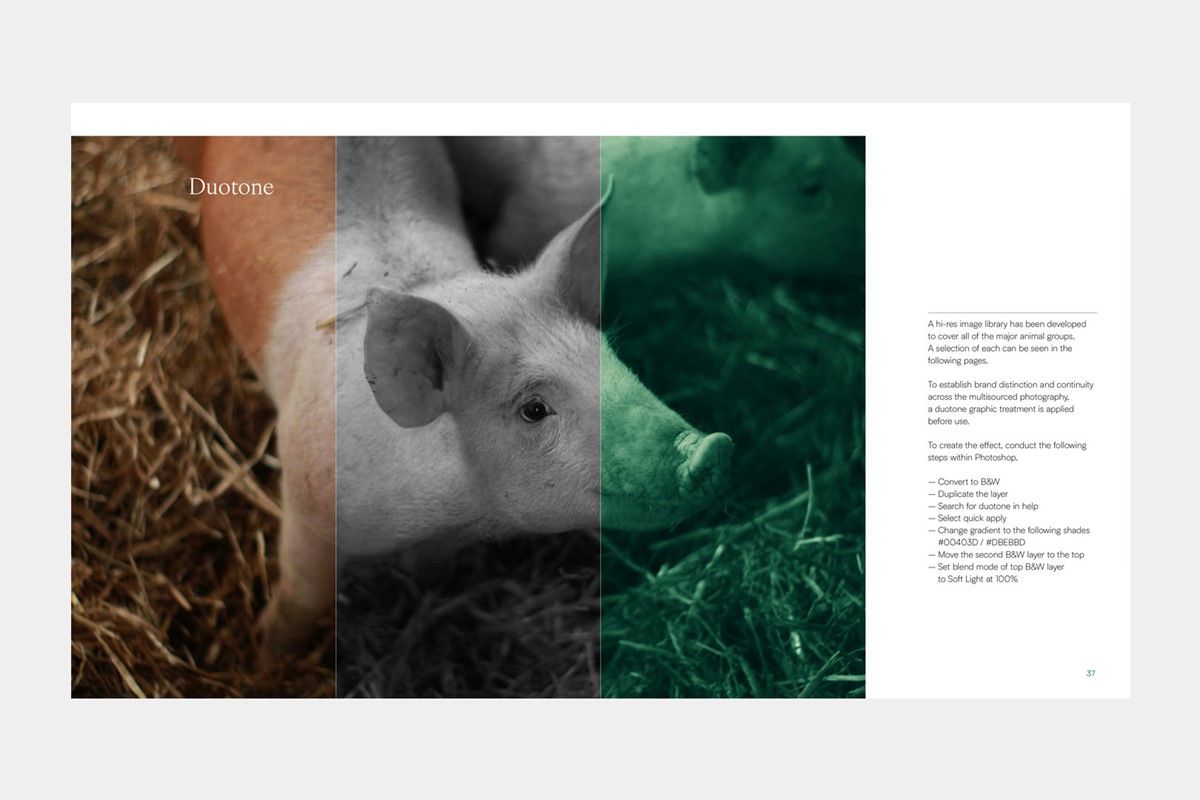 BBFAW. Duotone photography brand guidelines by design agency Superfried, Manchester.
