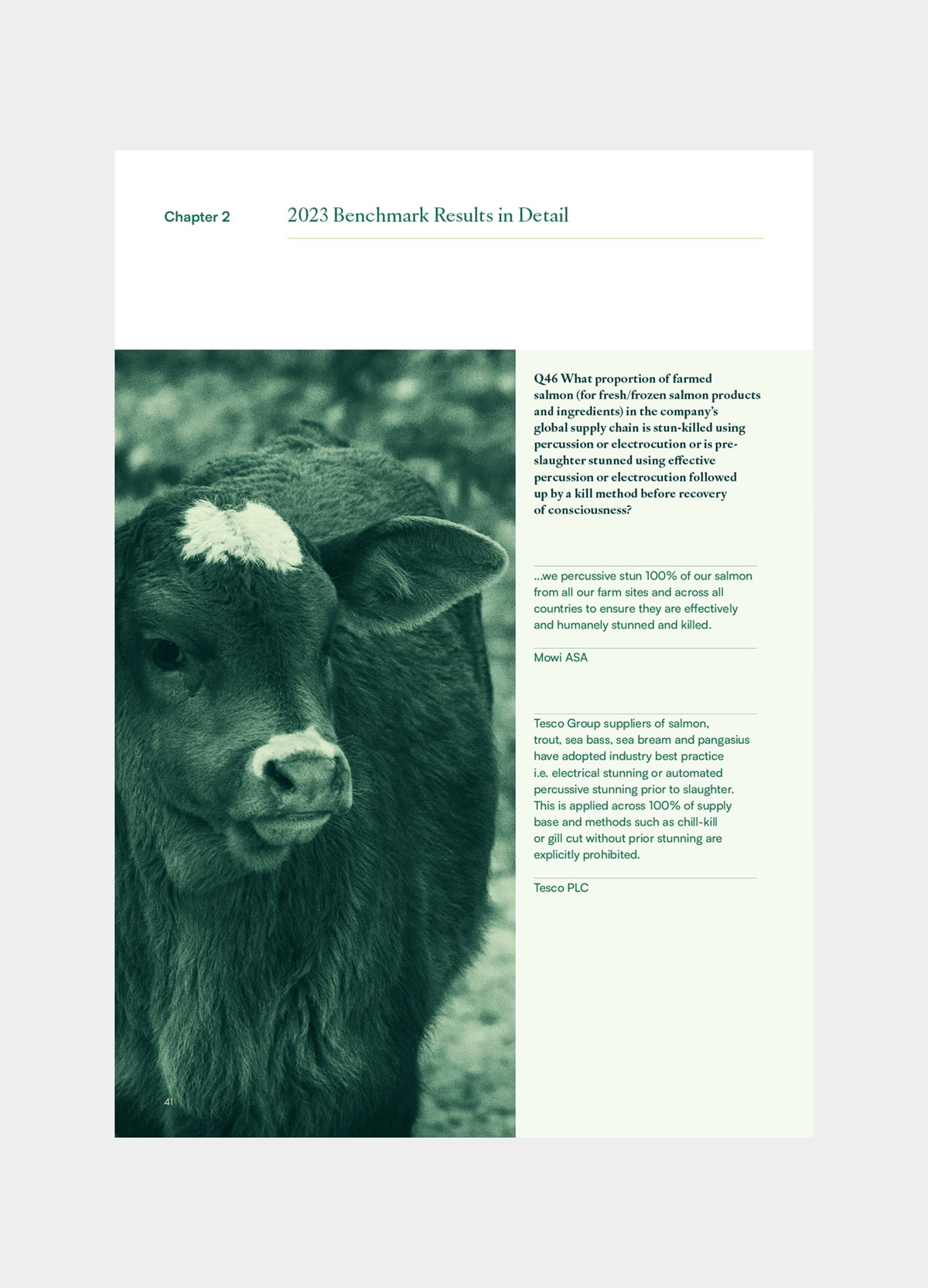 BBFAW. Annual report layout by design agency Superfried, Manchester.