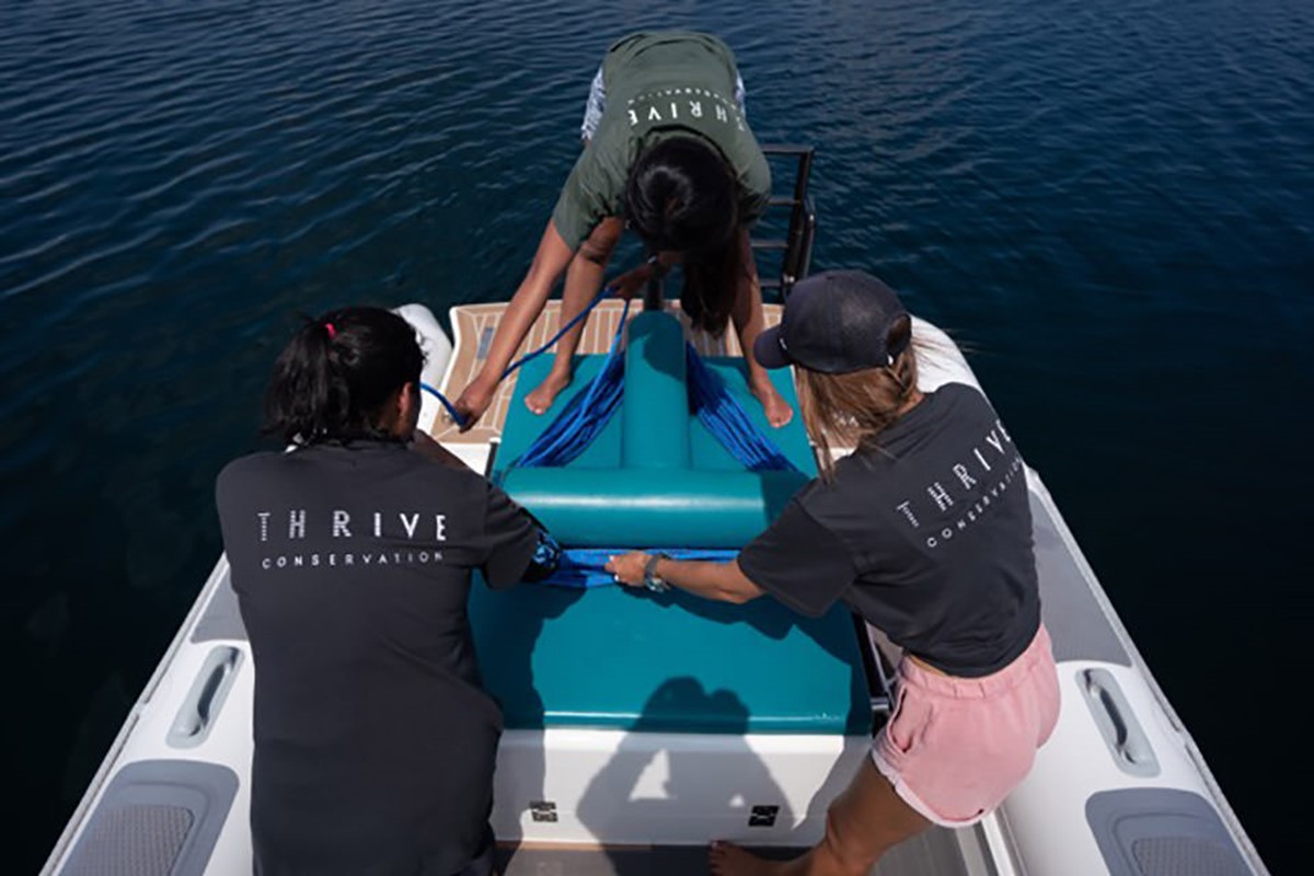 Thrive Conservation team members wearing branded t-shirt. Brand identity design by Superfried.