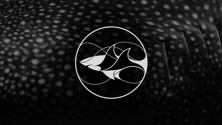 Shark Conservation Fund logo on a patterned shark skin background. Client: DiCaprio Foundation.