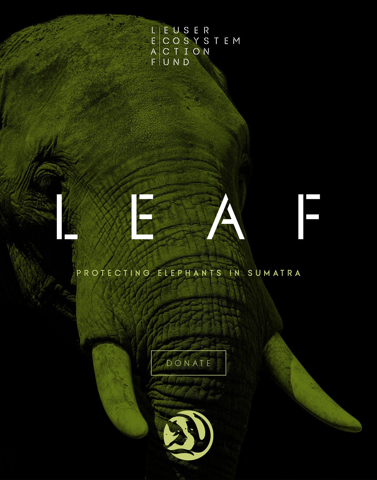 Leuser Ecosystem Action Fund [LEAF] elephant donation request advert. Client: DiCaprio foundation + Sumatran Orangutan Society [SOS].
