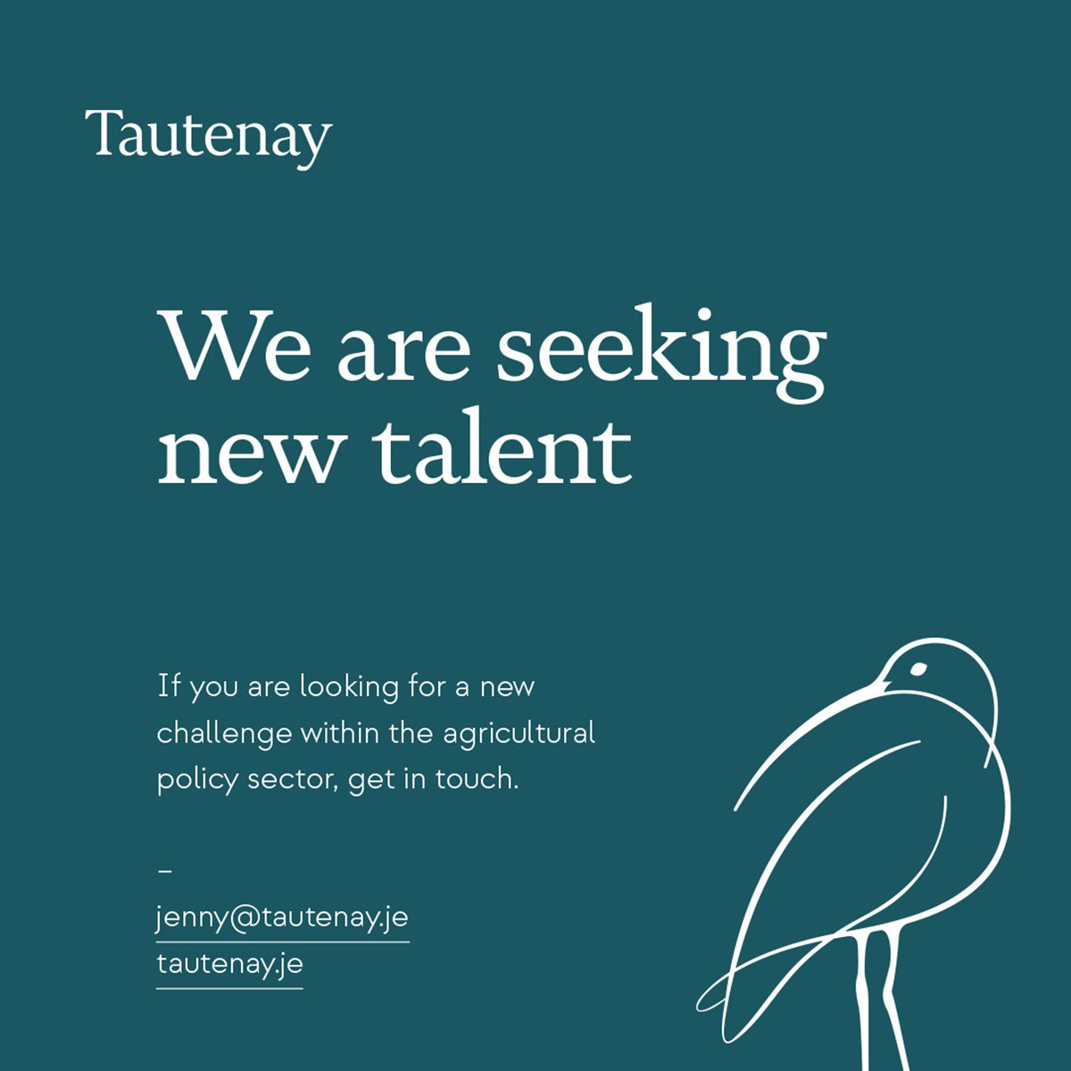 Tautenay. Social media ad by design studio Superfried. Manchester.