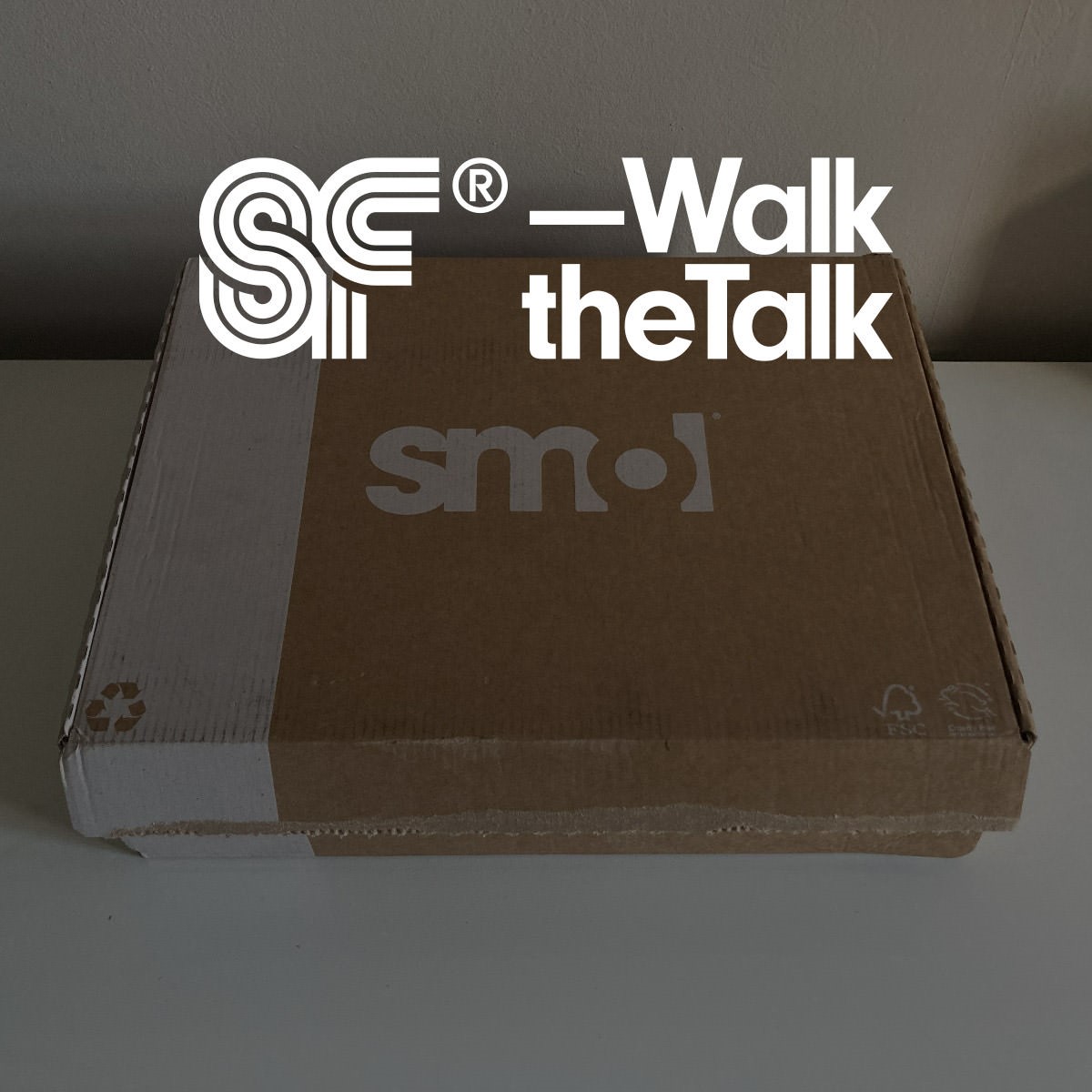 Superfried – Walk the Talk. Testing eco friendly products by smol. Considering purchases to reduce my environmental impact. 01.