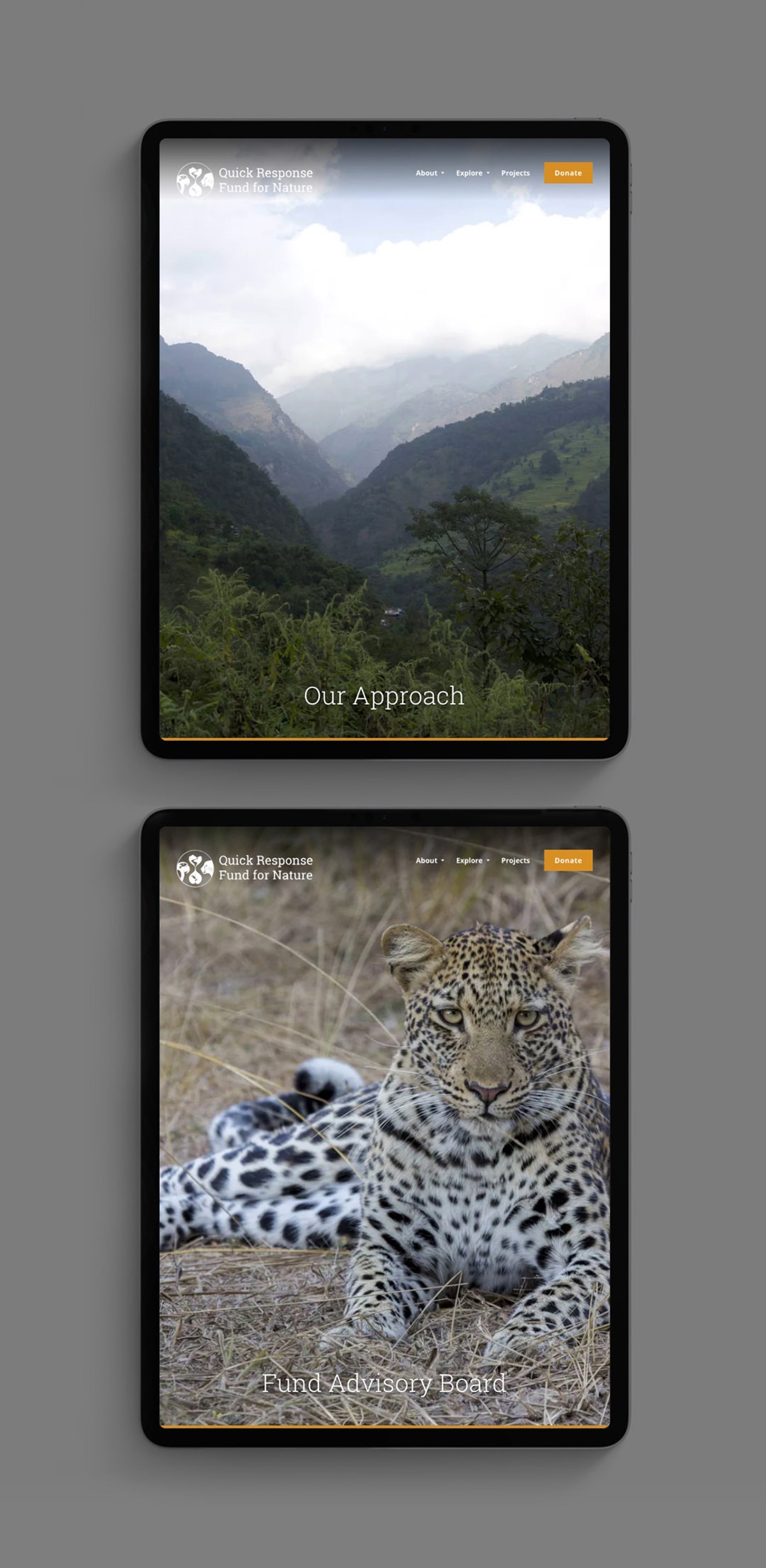 QRFN. Quick Response Fund for Nature – DiCaprio Foundation. Website. Brand identity design by Superfried. 