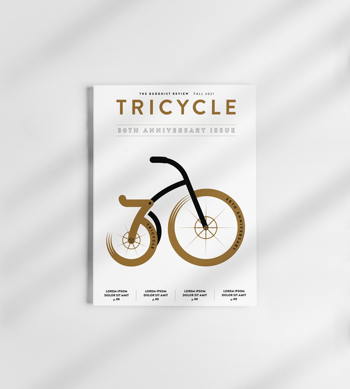 Tricycle magazine. 30th anniversary. Selected Typographic trike cover mock-up. Design by Superfried.