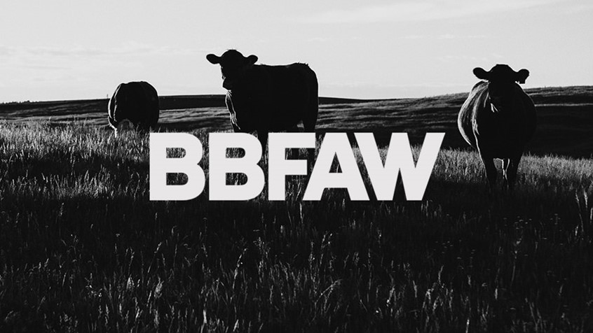 BBFAW. Rebrand and annual report by design agency Superfried, Manchester.