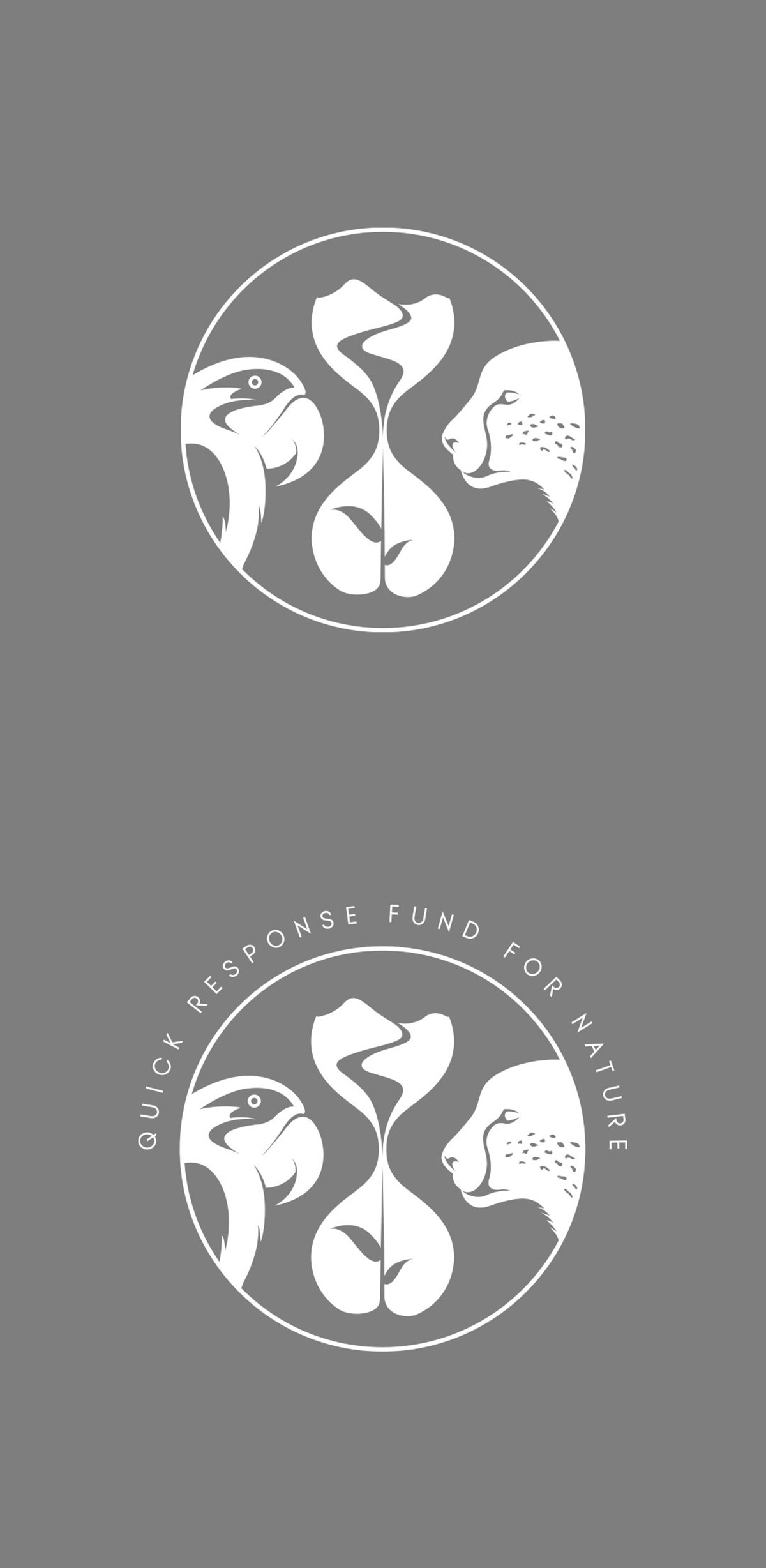 QRFN. Quick Response Fund for Nature – Logo variations. Brand identity design by Superfried. 