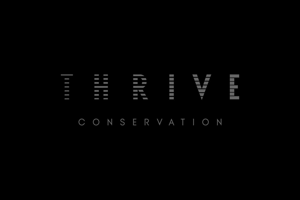 Thrive Conservation logo lock-up. Brand identity design by Superfried.