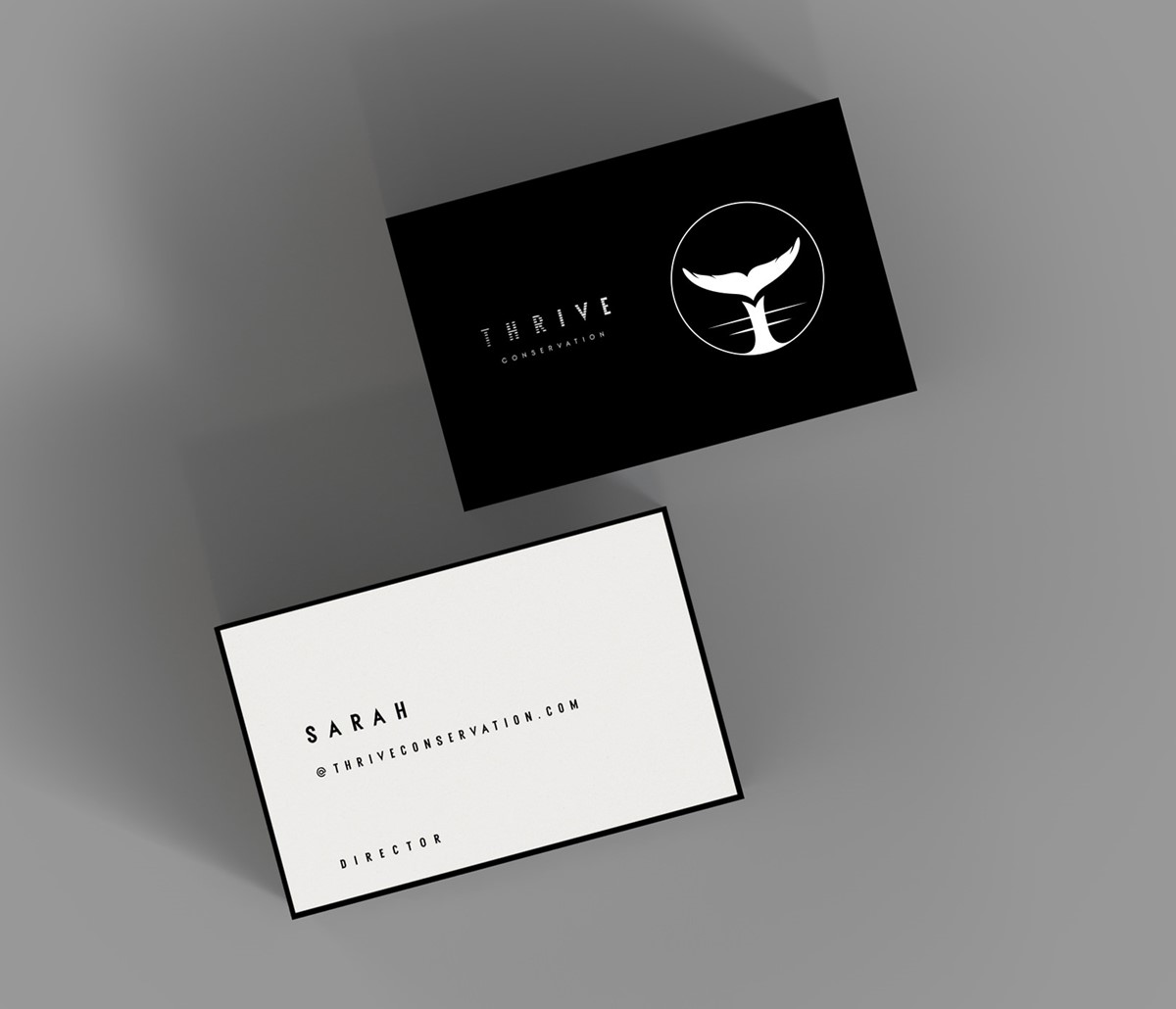 Thrive Conservation business cards mock-up. Brand identity design by Superfried.